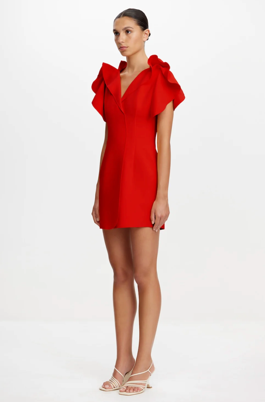 Normanhill Mini Dress