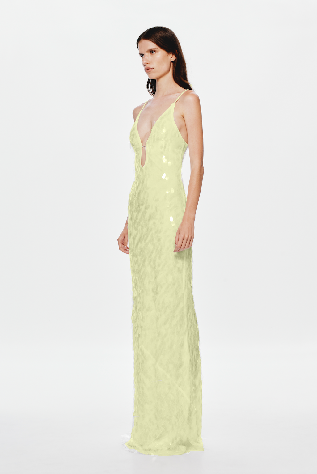 Woman wearing a light green lace evening gown on a white background