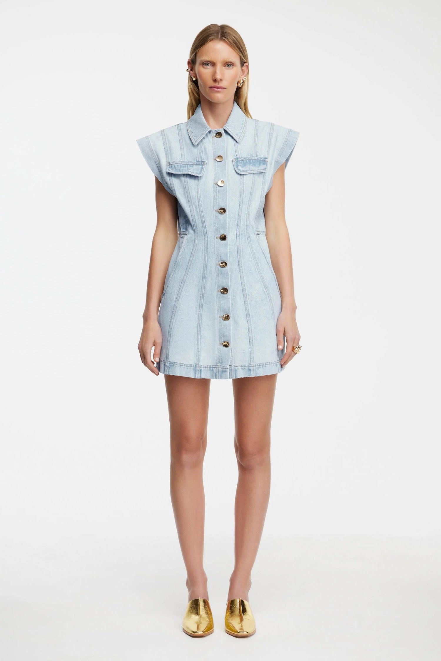 Eagleton Mini Dress