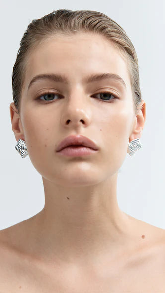 Wind Earrings - Silver